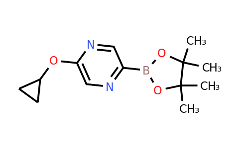5-Cyclopropoxypyrazin-2-ylboronic acid pinacol ester