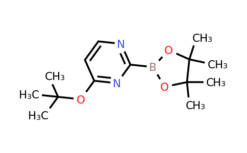 4-Tert-butoxypyrimidin-2-ylboronic acid pinacol ester