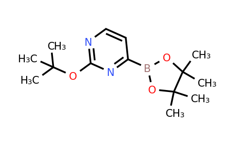 2-Tert-butoxypyrimidin-4-ylboronic acid pinacol ester