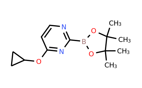 4-Cyclopropoxypyrimidin-2-ylboronic acid pinacol ester