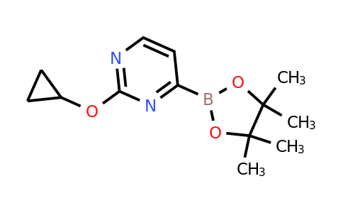 2-Cyclopropoxypyrimidin-4-ylboronic acid pinacol ester