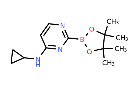 4-(Cyclopropylamino)pyrimidin-2-ylboronic acid pinacol ester