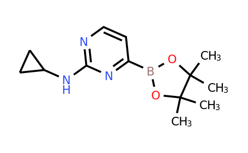 2-(Cyclopropylamino)pyrimidin-4-ylboronic acid pinacol ester