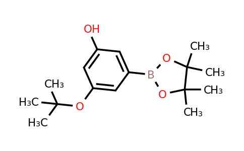 3-Tert-butoxy-5-(4,4,5,5-tetramethyl-1,3,2-dioxaborolan-2-YL)phenol