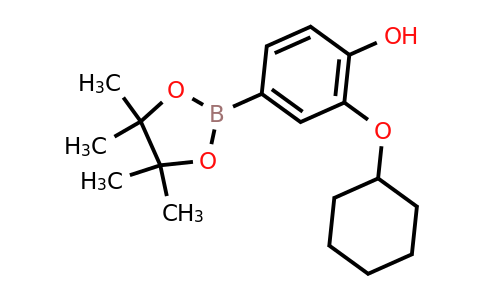 2-(Cyclohexyloxy)-4-(4,4,5,5-tetramethyl-1,3,2-dioxaborolan-2-YL)phenol