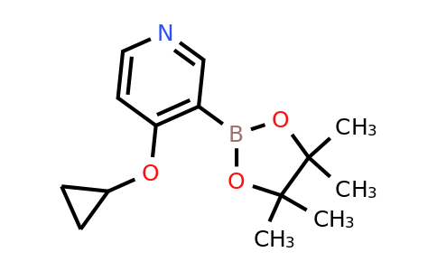 4-Cyclopropoxy-3-(4,4,5,5-tetramethyl-1,3,2-dioxaborolan-2-YL)pyridine
