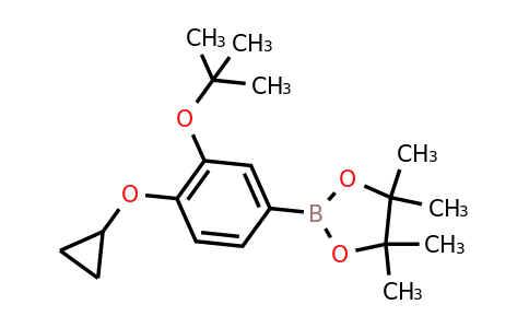 2-(3-Tert-butoxy-4-cyclopropoxyphenyl)-4,4,5,5-tetramethyl-1,3,2-dioxaborolane