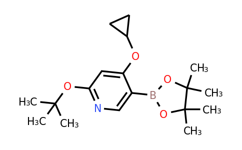 2-Tert-butoxy-4-cyclopropoxy-5-(4,4,5,5-tetramethyl-1,3,2-dioxaborolan-2-YL)pyridine