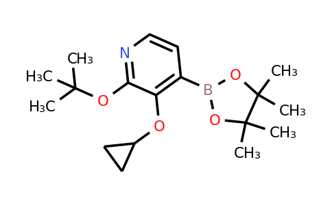 2-Tert-butoxy-3-cyclopropoxy-4-(4,4,5,5-tetramethyl-1,3,2-dioxaborolan-2-YL)pyridine