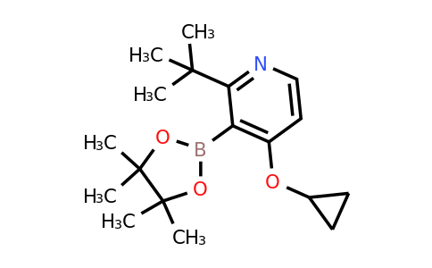 2-Tert-butyl-4-cyclopropoxy-3-(4,4,5,5-tetramethyl-1,3,2-dioxaborolan-2-YL)pyridine