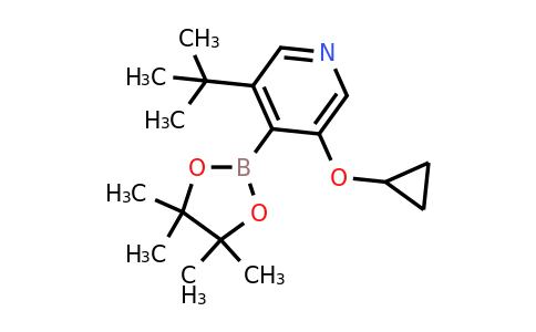 3-Tert-butyl-5-cyclopropoxy-4-(4,4,5,5-tetramethyl-1,3,2-dioxaborolan-2-YL)pyridine