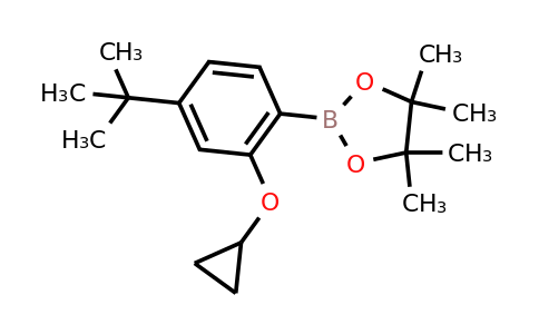 2-(4-Tert-butyl-2-cyclopropoxyphenyl)-4,4,5,5-tetramethyl-1,3,2-dioxaborolane