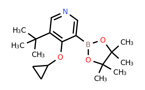 3-Tert-butyl-4-cyclopropoxy-5-(4,4,5,5-tetramethyl-1,3,2-dioxaborolan-2-YL)pyridine