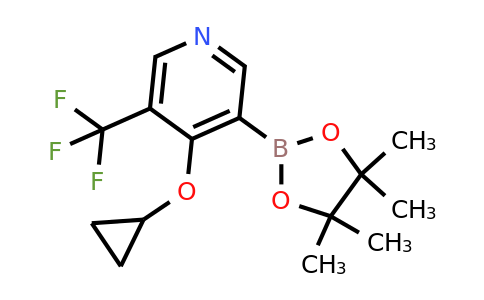 4-Cyclopropoxy-3-(4,4,5,5-tetramethyl-1,3,2-dioxaborolan-2-YL)-5-(trifluoromethyl)pyridine