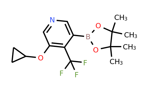 3-Cyclopropoxy-5-(4,4,5,5-tetramethyl-1,3,2-dioxaborolan-2-YL)-4-(trifluoromethyl)pyridine