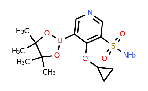 4-Cyclopropoxy-5-(4,4,5,5-tetramethyl-1,3,2-dioxaborolan-2-YL)pyridine-3-sulfonamide