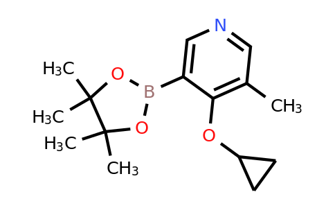 4-Cyclopropoxy-3-methyl-5-(4,4,5,5-tetramethyl-1,3,2-dioxaborolan-2-YL)pyridine