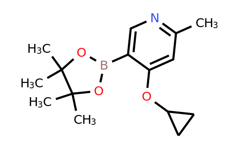 4-Cyclopropoxy-2-methyl-5-(4,4,5,5-tetramethyl-1,3,2-dioxaborolan-2-YL)pyridine