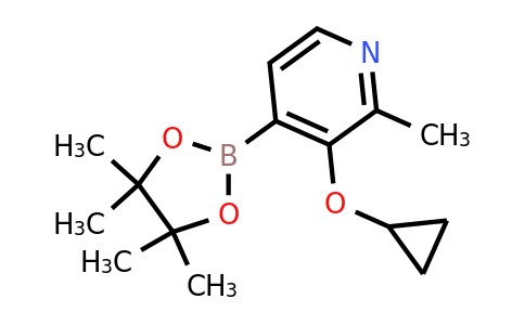 3-Cyclopropoxy-2-methyl-4-(4,4,5,5-tetramethyl-1,3,2-dioxaborolan-2-YL)pyridine