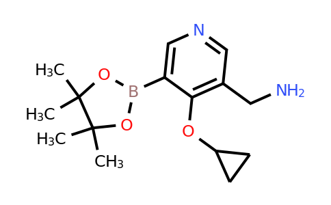(4-Cyclopropoxy-5-(4,4,5,5-tetramethyl-1,3,2-dioxaborolan-2-YL)pyridin-3-YL)methanamine