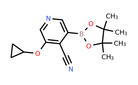 3-Cyclopropoxy-5-(4,4,5,5-tetramethyl-1,3,2-dioxaborolan-2-YL)isonicotinonitrile