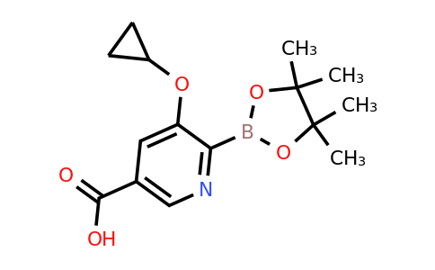 5-Cyclopropoxy-6-(4,4,5,5-tetramethyl-1,3,2-dioxaborolan-2-YL)nicotinic acid
