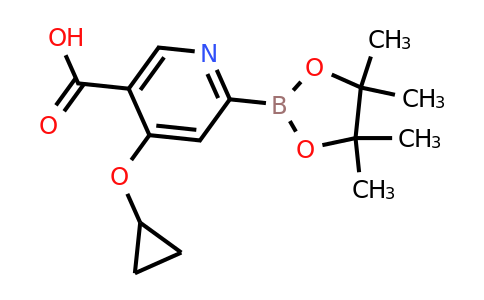 4-Cyclopropoxy-6-(4,4,5,5-tetramethyl-1,3,2-dioxaborolan-2-YL)nicotinic acid