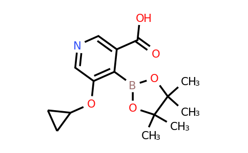 5-Cyclopropoxy-4-(4,4,5,5-tetramethyl-1,3,2-dioxaborolan-2-YL)nicotinic acid