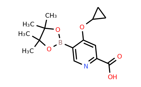 4-Cyclopropoxy-5-(4,4,5,5-tetramethyl-1,3,2-dioxaborolan-2-YL)picolinic acid