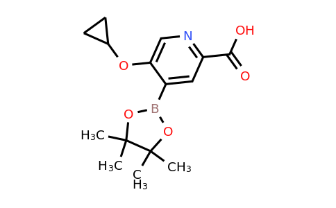 5-Cyclopropoxy-4-(4,4,5,5-tetramethyl-1,3,2-dioxaborolan-2-YL)picolinic acid