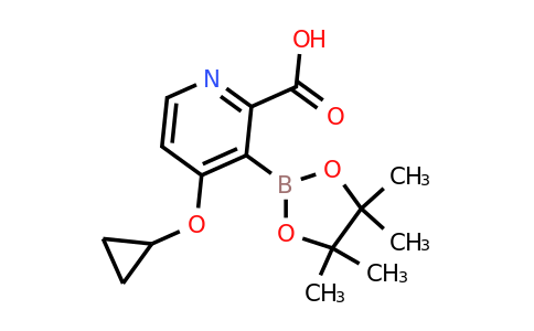 4-Cyclopropoxy-3-(4,4,5,5-tetramethyl-1,3,2-dioxaborolan-2-YL)picolinic acid