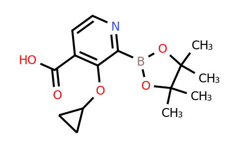 3-Cyclopropoxy-2-(4,4,5,5-tetramethyl-1,3,2-dioxaborolan-2-YL)isonicotinic acid