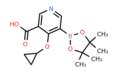4-Cyclopropoxy-5-(4,4,5,5-tetramethyl-1,3,2-dioxaborolan-2-YL)nicotinic acid