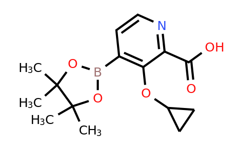 3-Cyclopropoxy-4-(4,4,5,5-tetramethyl-1,3,2-dioxaborolan-2-YL)picolinic acid
