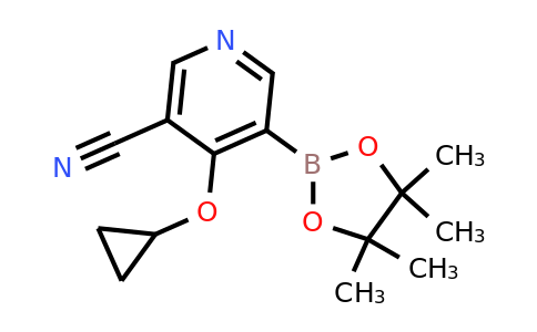 4-Cyclopropoxy-5-(4,4,5,5-tetramethyl-1,3,2-dioxaborolan-2-YL)nicotinonitrile
