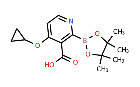 4-Cyclopropoxy-2-(4,4,5,5-tetramethyl-1,3,2-dioxaborolan-2-YL)nicotinic acid