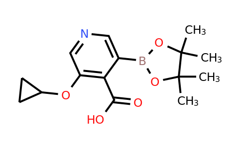 3-Cyclopropoxy-5-(4,4,5,5-tetramethyl-1,3,2-dioxaborolan-2-YL)isonicotinic acid