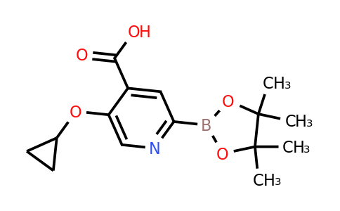 5-Cyclopropoxy-2-(4,4,5,5-tetramethyl-1,3,2-dioxaborolan-2-YL)isonicotinic acid