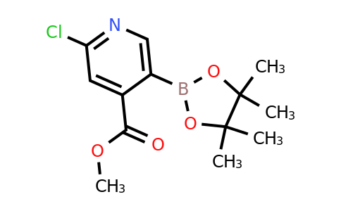 Methyl 2-chloro-5-(4,4,5,5-tetramethyl-1,3,2-dioxaborolan-2-YL)isonicotinate