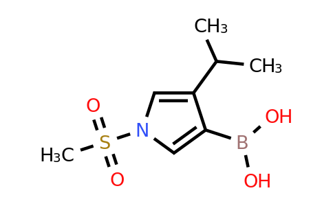4-Isopropyl-1-(methylsulfonyl)-pyrrol-3-ylboronic acid