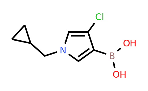 4-Chloro-1-(cyclopropylmethyl)-pyrrol-3-ylboronic acid