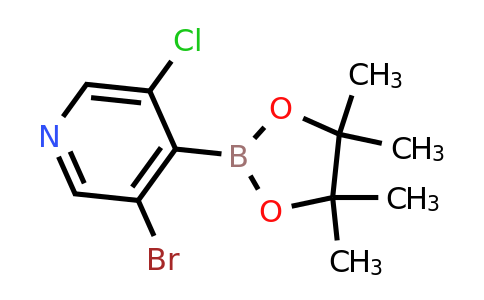 3-Bromo-5-chloro-4-(4,4,5,5-tetramethyl-1,3,2-dioxaborolan-2-YL)pyridine