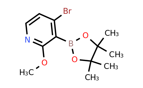 4-Bromo-2-methoxy-3-(4,4,5,5-tetramethyl-1,3,2-dioxaborolan-2-YL)pyridine