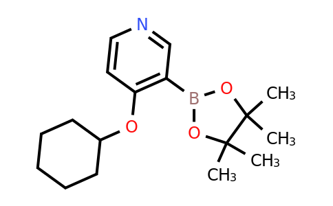 4-(Cyclohexyloxy)-3-(4,4,5,5-tetramethyl-1,3,2-dioxaborolan-2-YL)pyridine