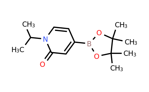 1-Isopropyl-4-(4,4,5,5-tetramethyl-1,3,2-dioxaborolan-2-YL)pyridin-2(1H)-one