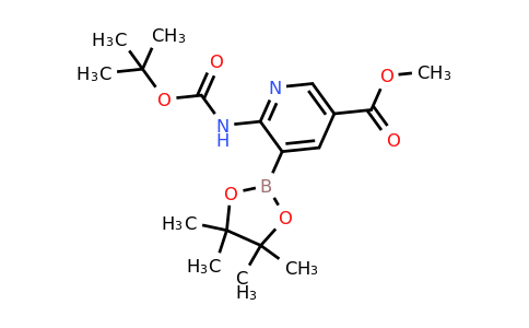 Methyl 6-(tert-butoxycarbonylamino)-5-(4,4,5,5-tetramethyl-1,3,2-dioxaborolan-2-YL)nicotinate