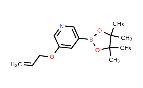 3-(Allyloxy)-5-(4,4,5,5-tetramethyl-1,3,2-dioxaborolan-2-YL)pyridine
