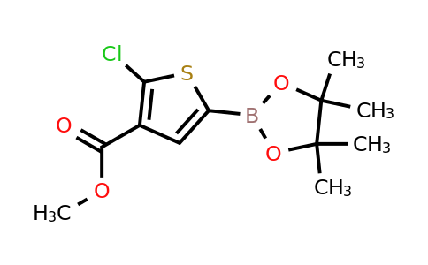Methyl 2-chloro-5-(4,4,5,5-tetramethyl-1,3,2-dioxaborolan-2-YL)thiophene-3-carboxylate