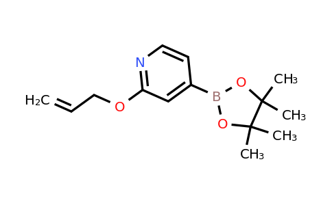 2-(Allyloxy)-4-(4,4,5,5-tetramethyl-1,3,2-dioxaborolan-2-YL)pyridine