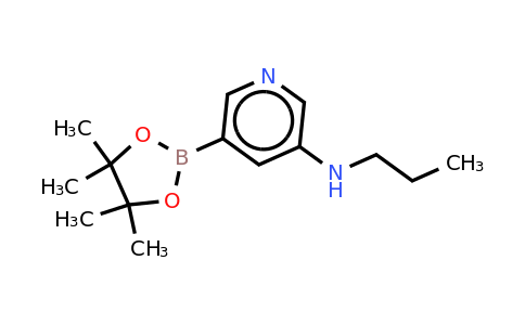 N-propyl-5-(4,4,5,5-tetramethyl-1,3,2-dioxaborolan-2-YL)pyridin-3-amine